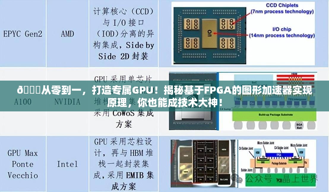 🚀从零到一，打造专属GPU！揭秘基于FPGA的图形加速器实现原理，你也能成技术大神！