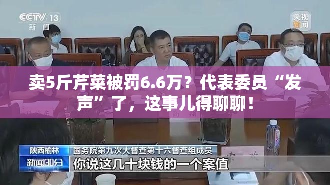 卖5斤芹菜被罚6.6万?代表委员建言