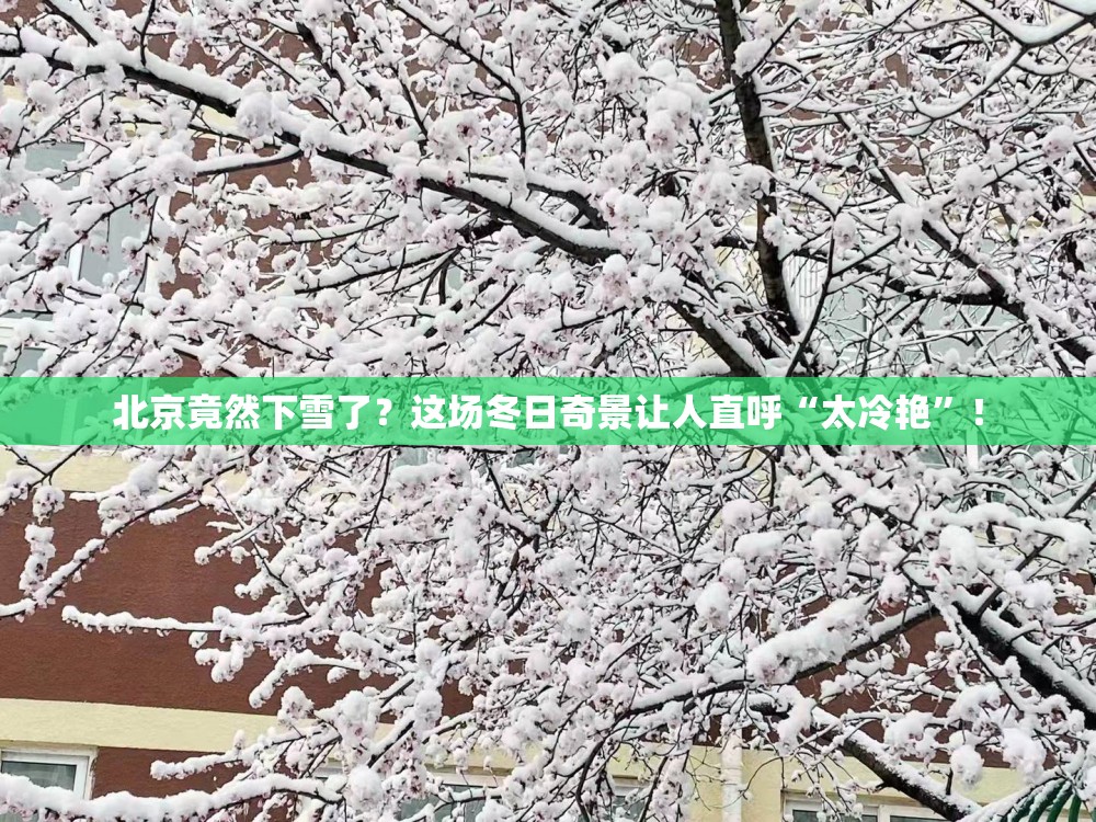 北京竟然下雪了？这场冬日奇景让人直呼“太冷艳”！