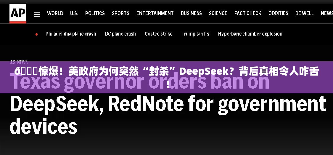 美政府禁DeepSeek