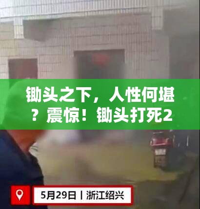 锄头之下，人性何堪？震惊！锄头打死2人竟判死缓？！