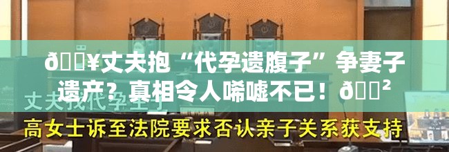 🔥丈夫抱“代孕遗腹子”争妻子遗产？真相令人唏嘘不已！😲